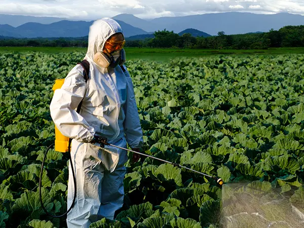Remodelando los límites de la calidad y la innovación en la industria de los pulverizadores