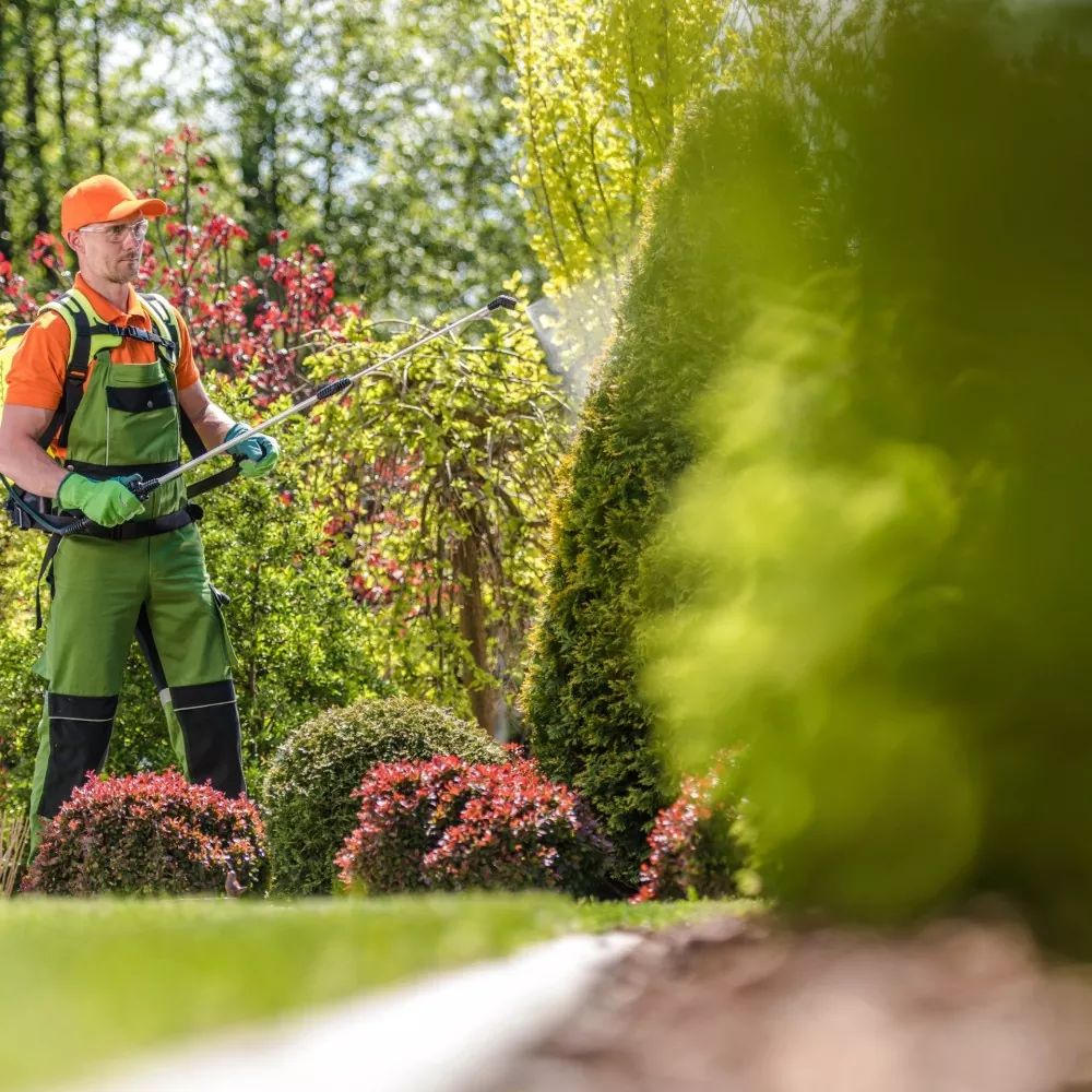 Jardinería profesional